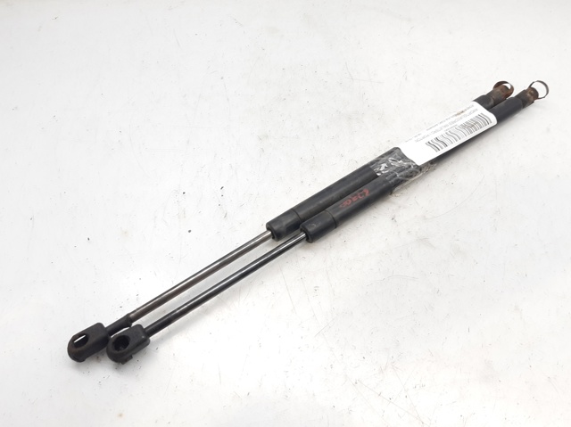 Amortiguador maletero para Renault Twingo C06