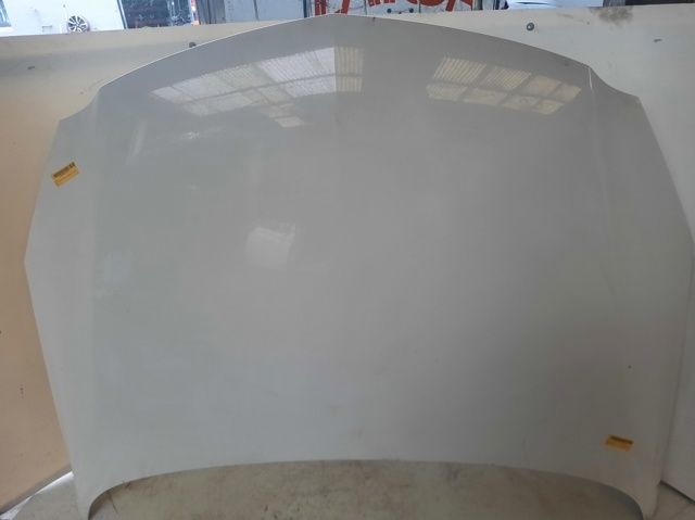 Capot Opel Insignia  (G09)