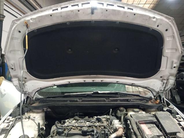 1160014 OPEL Capó  en stock Córdoba