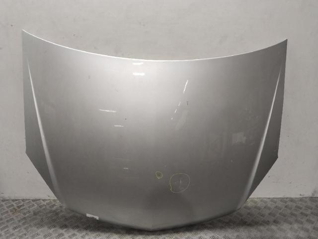 OPEL 1160254 Capó  en stock Salamanca