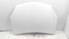 Capot 1160254 OPEL