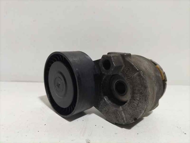 117501083R Tensor de correa poli V  en stock Sabadell