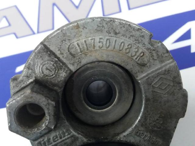 117501083R RENAULT Tensor de correa de accesorios  comprar en Jaén