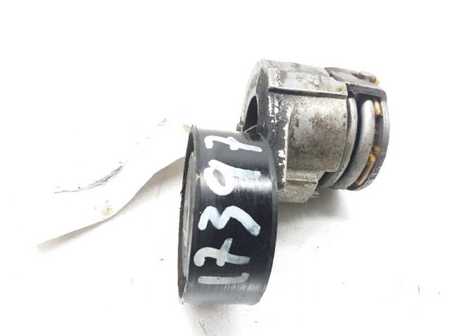 117501083R RENAULT Tensor de correa de accesorios  comprar en Lleida