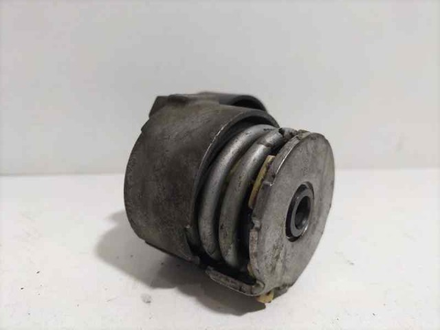117501083R RENAULT Tensor de correa de accesorios  comprar en Jaén