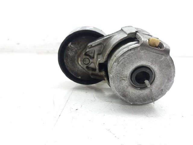 117501083R Tensor de correa de accesorios  comprar en Pontevedra