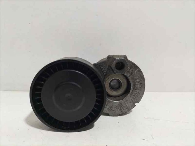 Tensor de la correa trapecial poli v Kangoo monovolumen (1998-2008) original desde 39,29 €