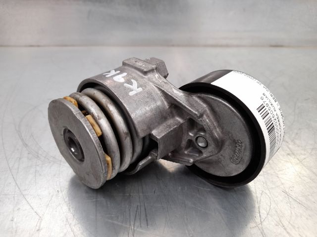 117501083R Tensor de correa poli V  en stock Sabadell
