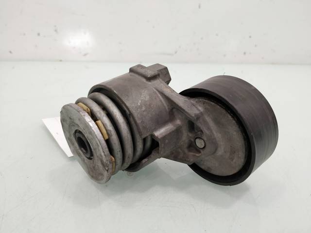 117501083R RENAULT Tensor de correa de accesorios  comprar en Jaén