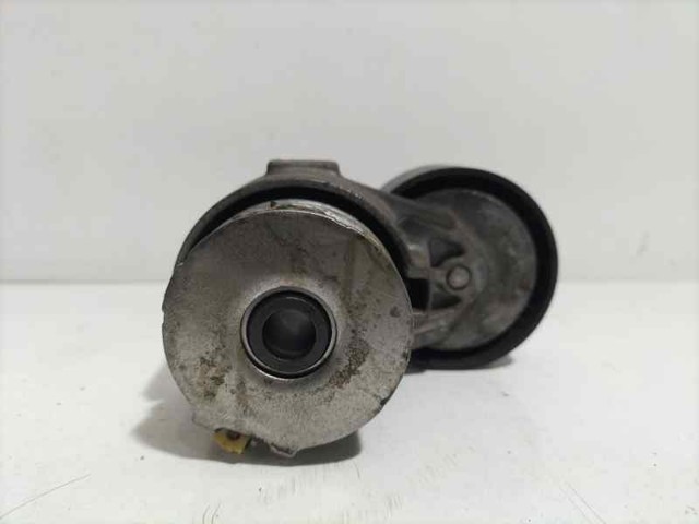 117501083R RENAULT Tensor de correa de accesorios  comprar en Lleida