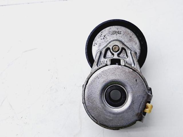RENAULT 117501083R Tensor de correa poli V comprar Pamplona