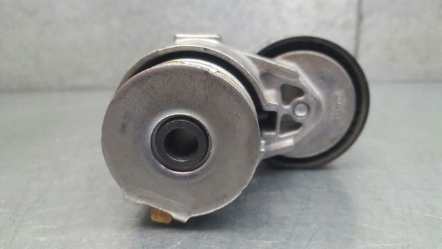 117501083R Tensor de correa poli V comprar Sevilla