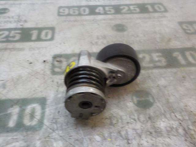 117501113R RENAULT Tensor de correa de accesorios  comprar en Lleida