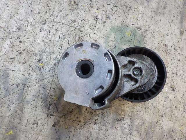 117501113R Tensor de correa de accesorios  comprar en Zaragoza