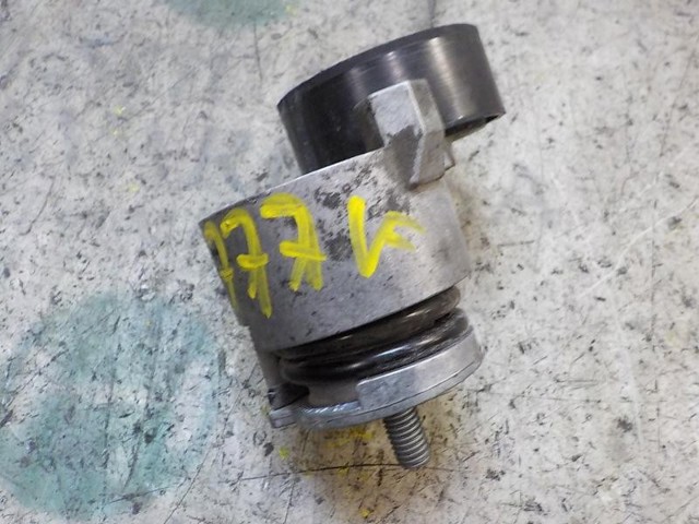 117501113R Tensor de correa poli V comprar Sevilla