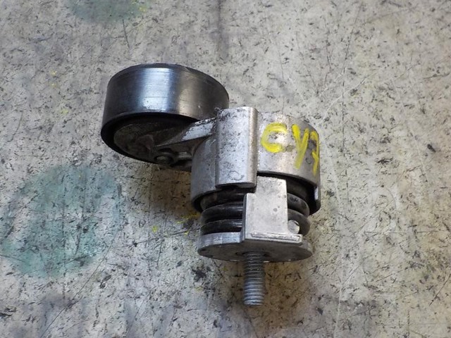 117501113R Tensor de correa poli V comprar Girona