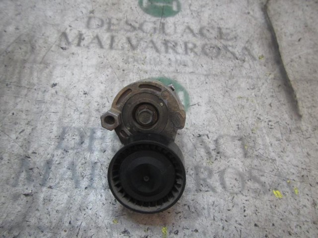 117501113R Renault (RVI)