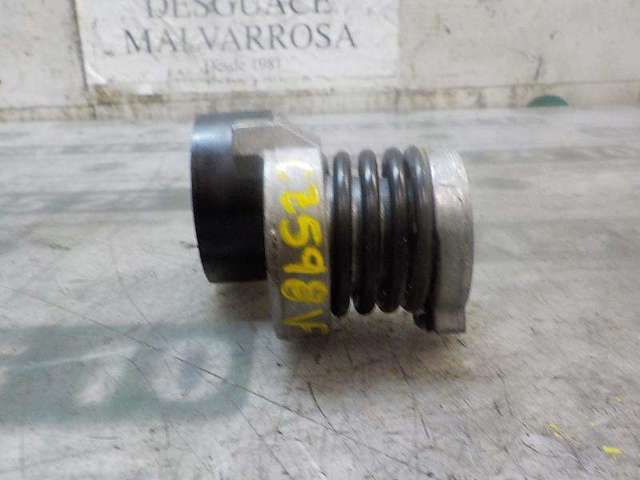 RENAULT 117501113R Tensor de correa de accesorios  comprar en Albacete