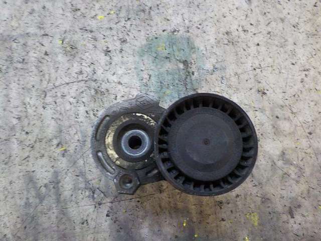 117501113R RENAULT Tensor de correa de accesorios  comprar en Lleida