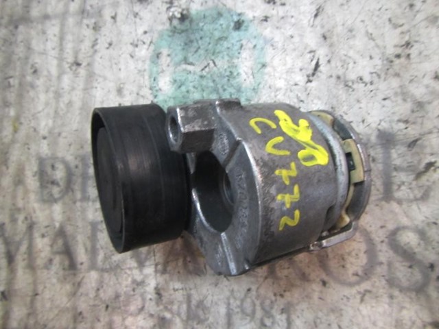 117501113R RENAULT Tensor de correa de alternador  en stock Córdoba