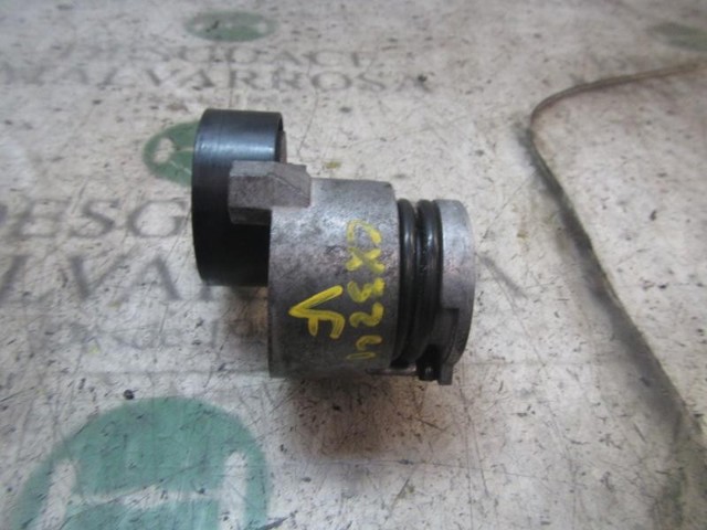 117501113R RENAULT Tensor de correa poli V  en stock Gandía