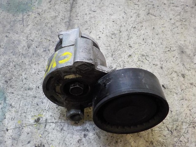 117501113R Tensor de correa poli V comprar Girona