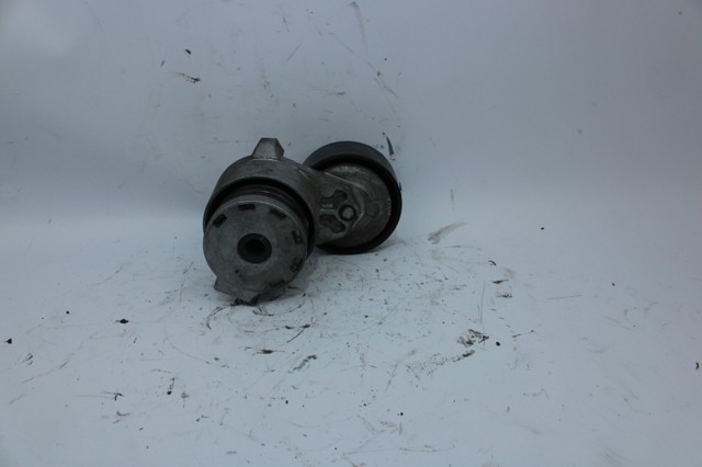 117503662R Tensor de correa poli V  en stock Sabadell