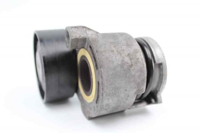 117503662R RENAULT Tensor de correa de accesorios  comprar en Jaén