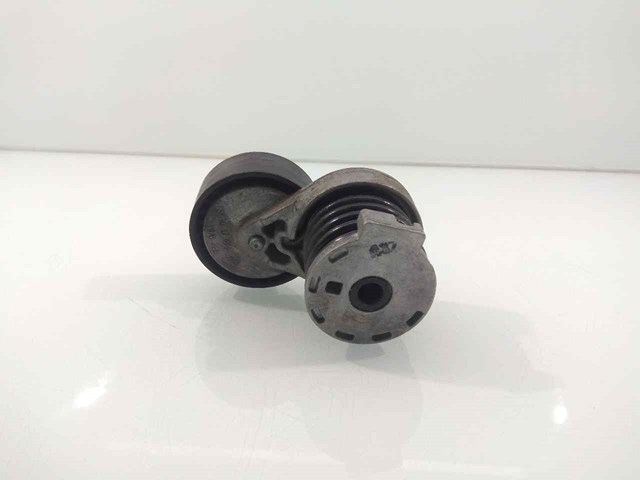 Rodillo, correa trapecial poli V Nissan Qashqai 2 J11