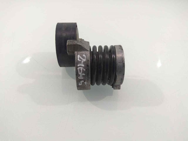 Rodillo, correa trapecial poli V Nissan Qashqai 2 J11