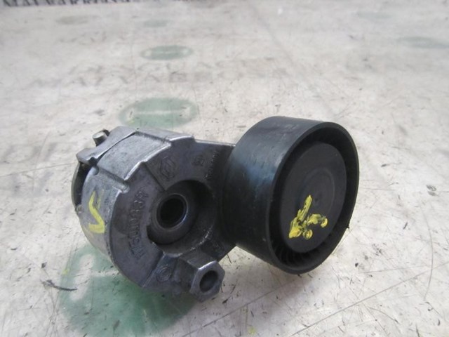 Rodillo, correa trapecial poli V Nissan Qashqai 2 J11