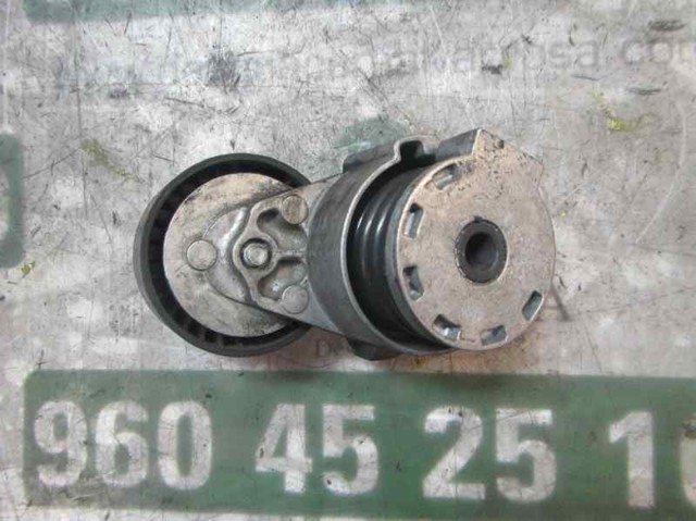 Rodillo, correa trapecial poli V Nissan Qashqai 2 J11