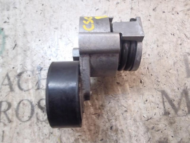 Rodillo, correa trapecial poli V Nissan Qashqai 2 J11