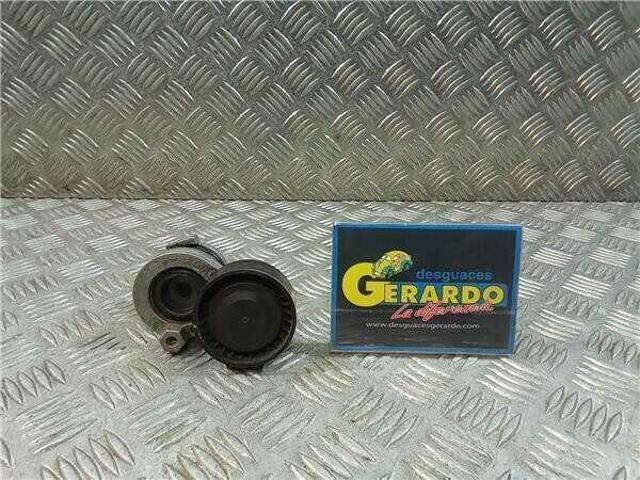 Rodillo, correa trapecial poli V Nissan Qashqai 2 J11