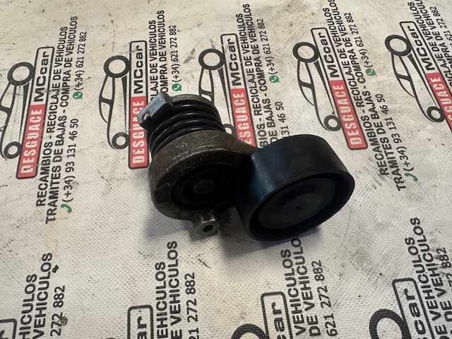 Rodillo, correa trapecial poli V Nissan Qashqai 2 J11