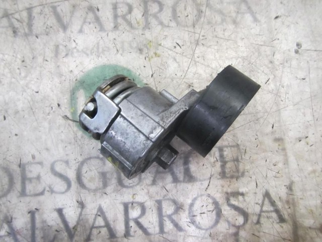 Rodillo, correa trapecial poli V Nissan Qashqai 2 J11