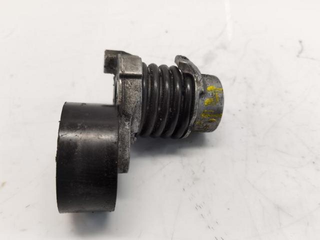 117506193R RENAULT Tensor de correa poli V comprar Madrid