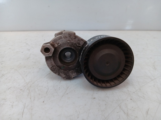 117506193R Tensor de correa poli V  en stock Sabadell