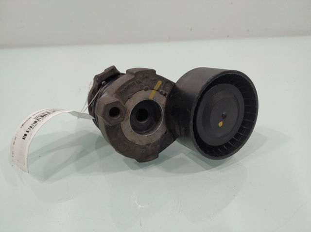 RENAULT 117506193R Tensor de correa de accesorios  comprar en Ponferrada