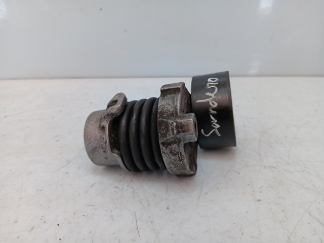 117506193R Tensor de correa de accesorios  comprar en Pontevedra