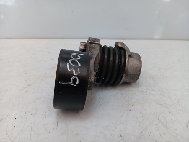 117506193R RENAULT Tensor de correa poli V  en stock Huelva