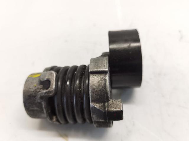 117506193R RENAULT Tensor de correa de accesorios  comprar en Lleida