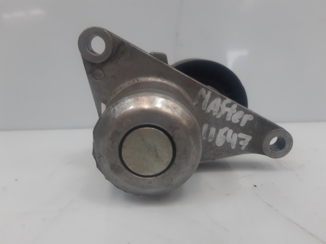 117507568R Tensor de correa de accesorios  comprar en Reus
