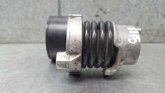 RENAULT 117509654R Tensor de correa de accesorios  comprar en Albacete