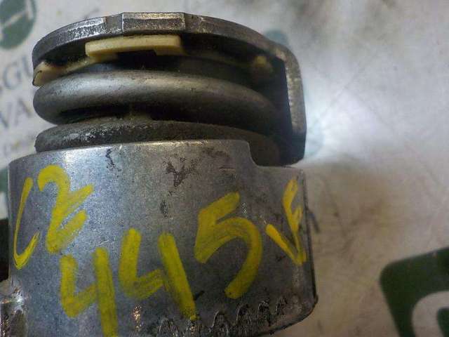 RENAULT 117509654R Tensor de correa poli V  en stock Salamanca