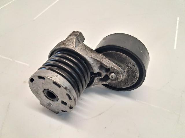 117509654R Tensor de correa poli V  en stock Castellón
