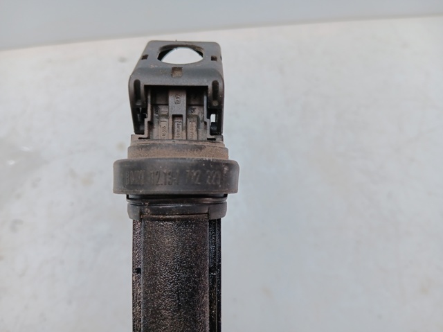 12131712223 BMW Bobina de encendido  comprar en Jaén