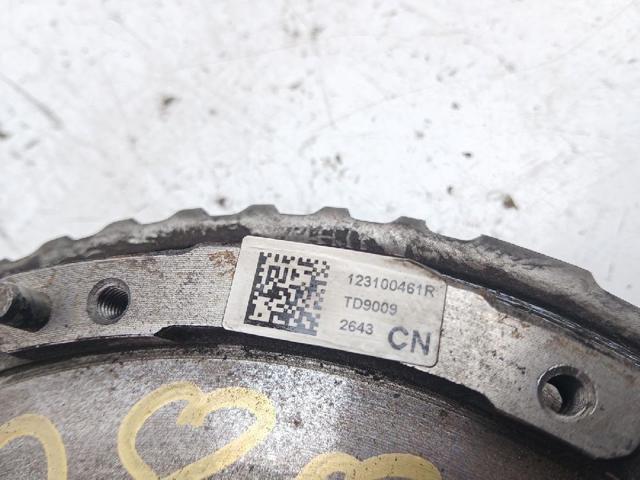 123100461R Renault (RVI)