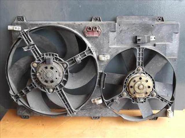 1253A0 Peugeot/Citroen