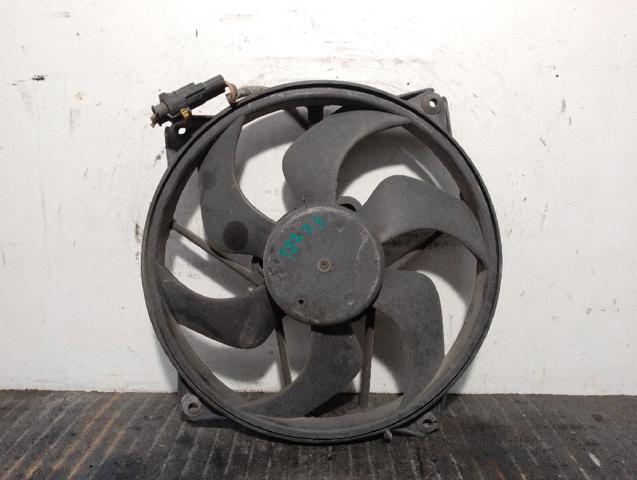 1253A9 Peugeot/Citroen